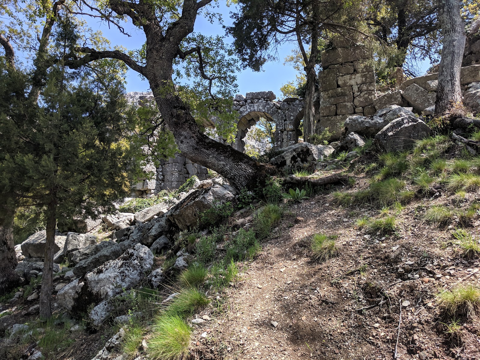 Gulluk Mountain Termessos National Park photo 3