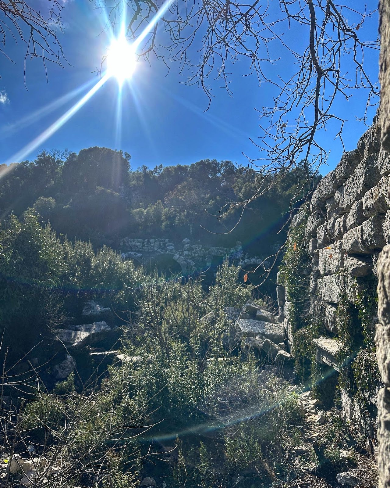 Gulluk Mountain Termessos National Park photo 2