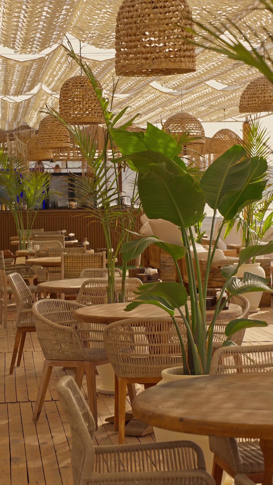 Kalypso Beach Club, Antalya - Restaurant & Cocktail Bar photo 7