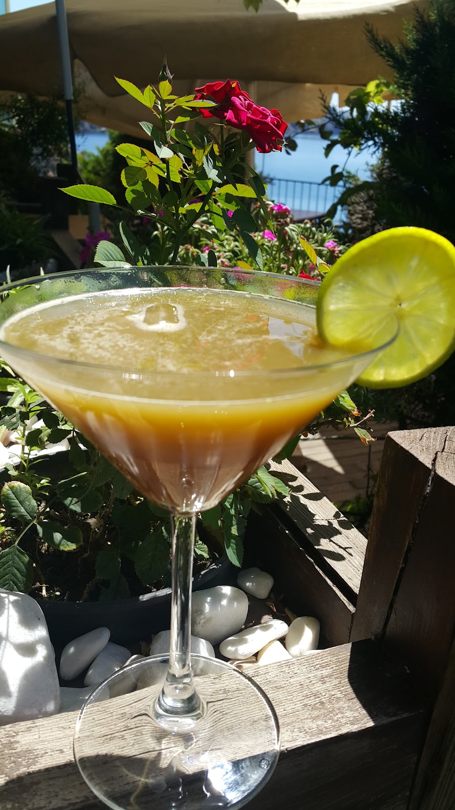 Nar Beach&Bistro photo 10
