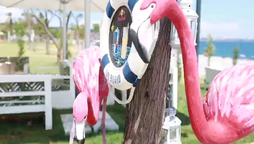 Flamingo Lounge photo 6