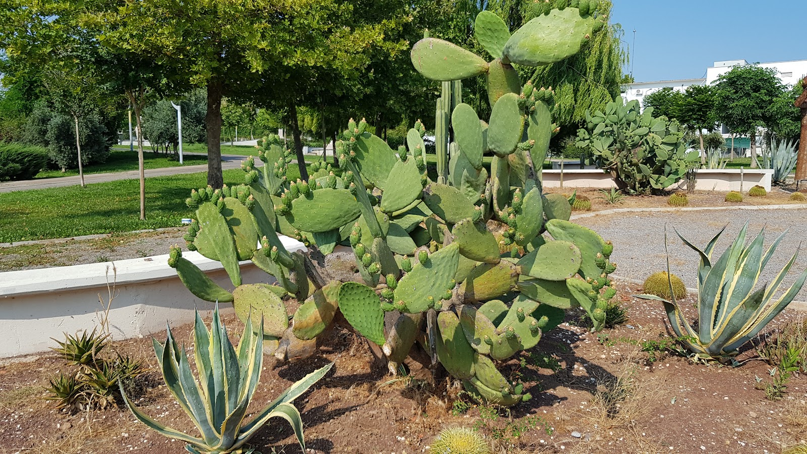 Mediterranean City Park photo 10