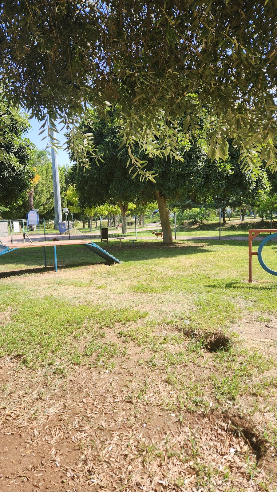 April 23 National Sovereignty Park photo 6