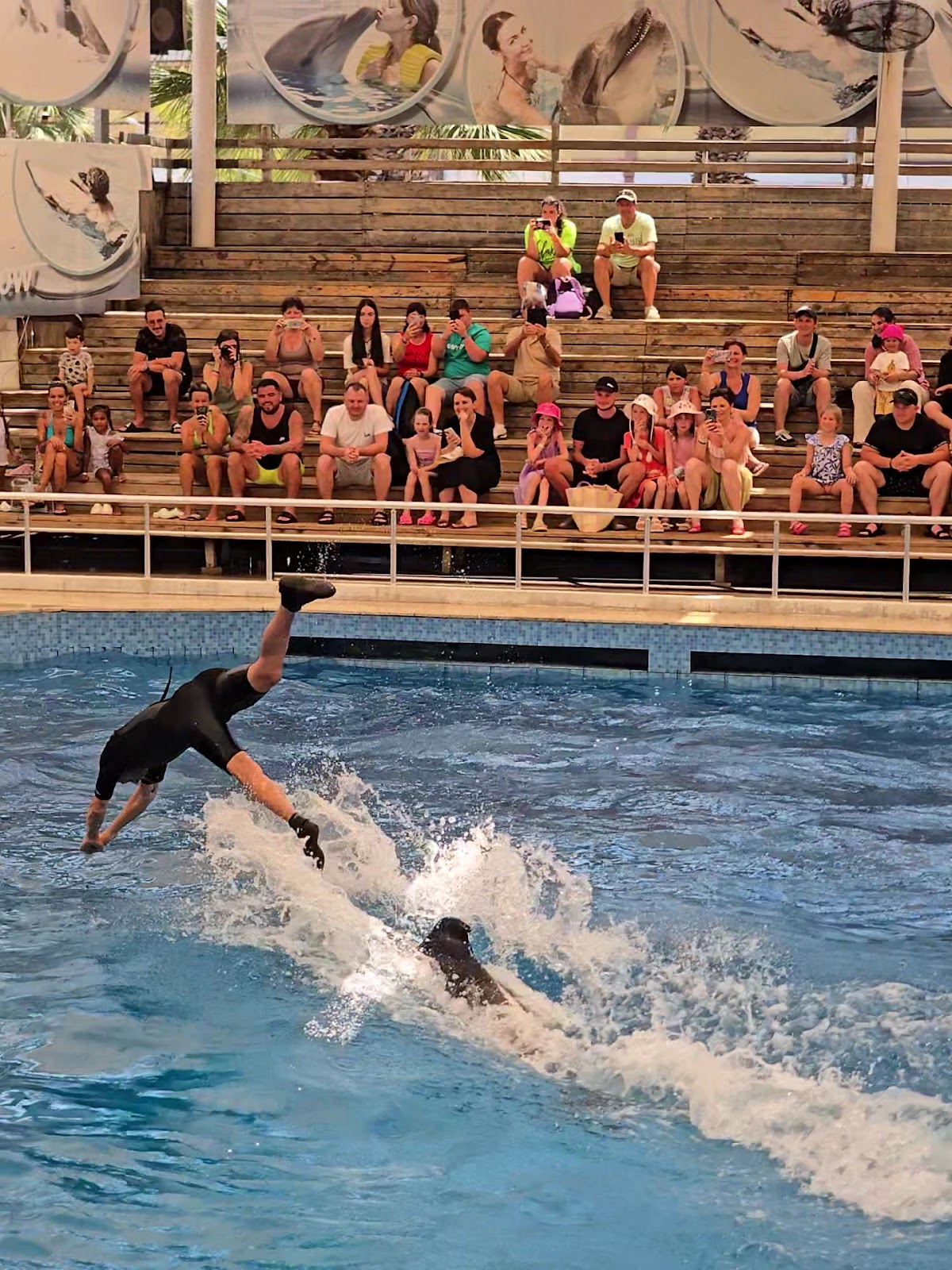 Aksu Dolphinarium photo 9