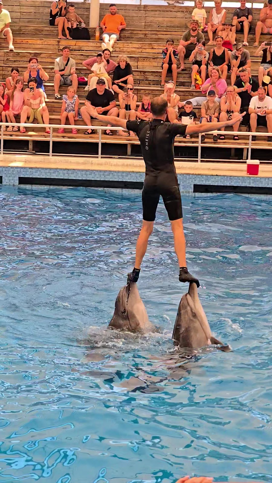 Aksu Dolphinarium photo 8