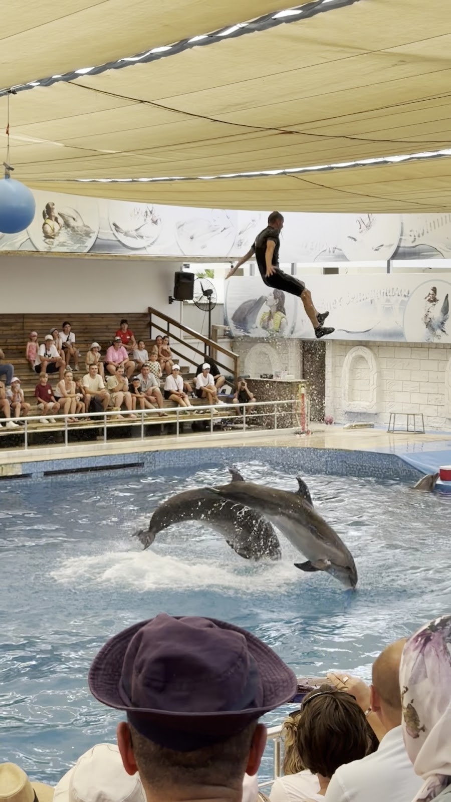 Aksu Dolphinarium photo 2