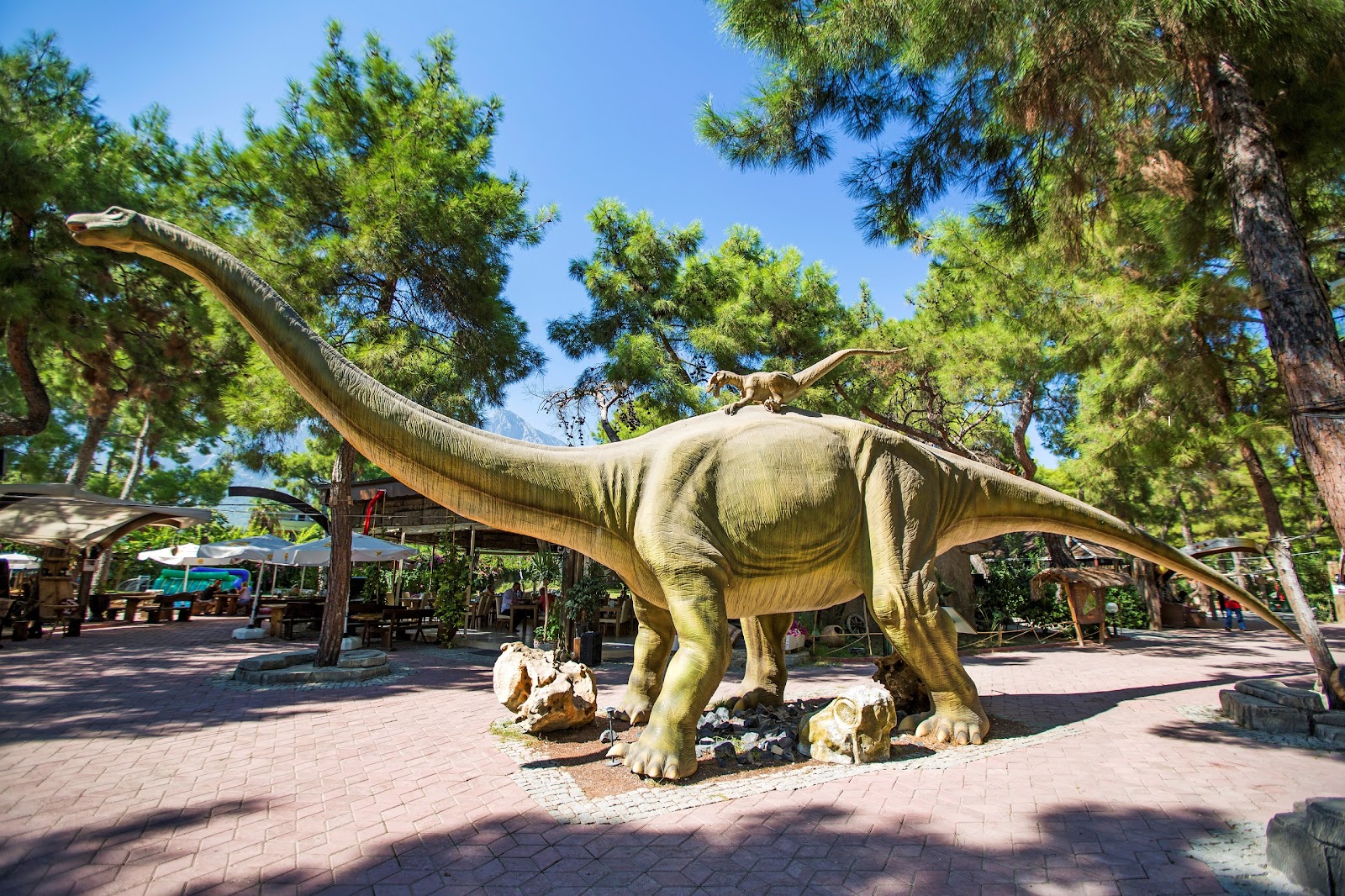 DİNOPARK - Dino Lezzet Park photo 1