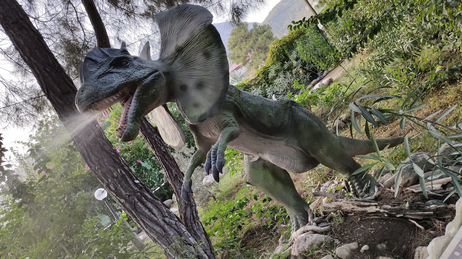 DİNOPARK - Dino Lezzet Park photo 8