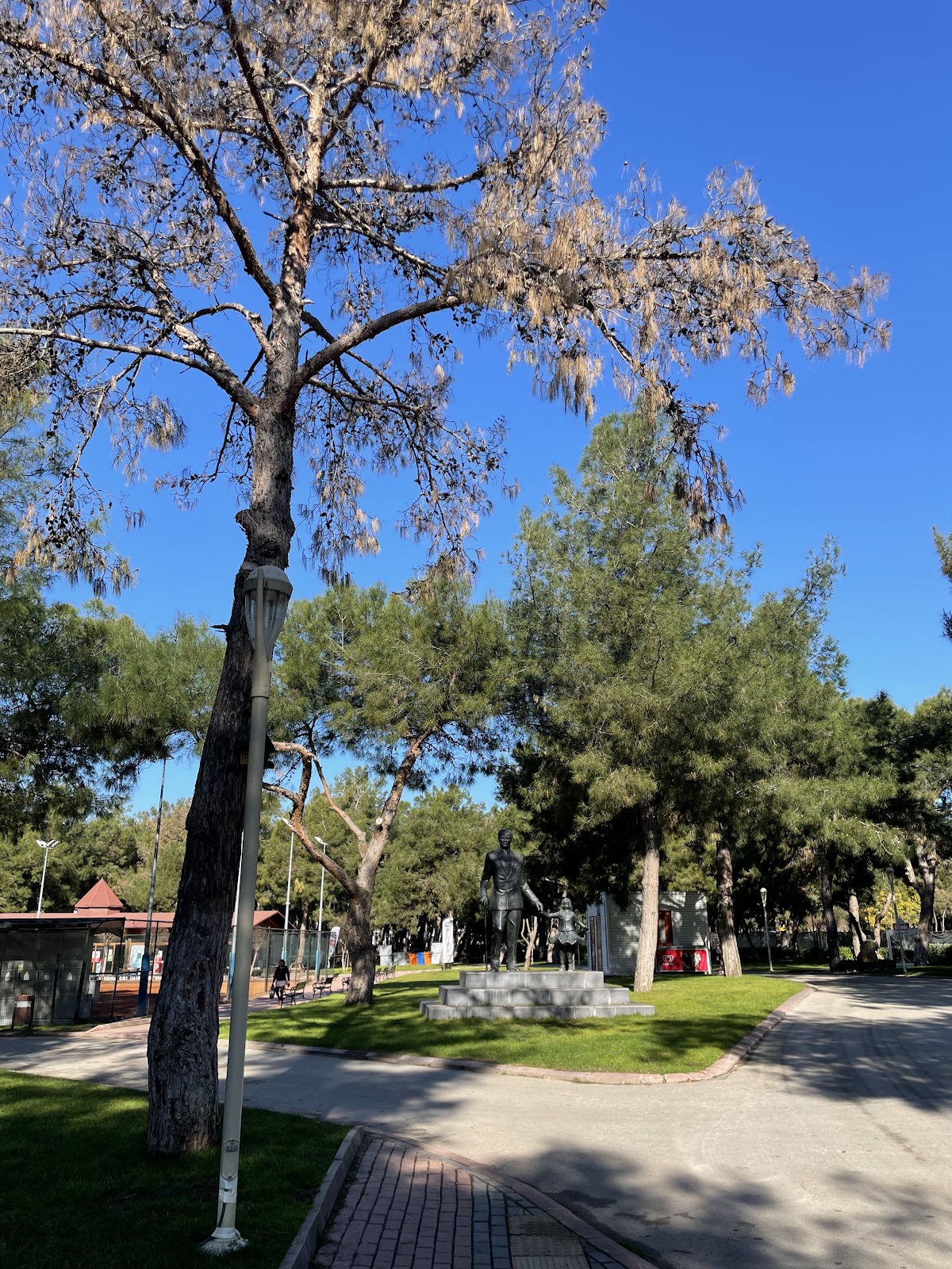 HayatPark photo 12