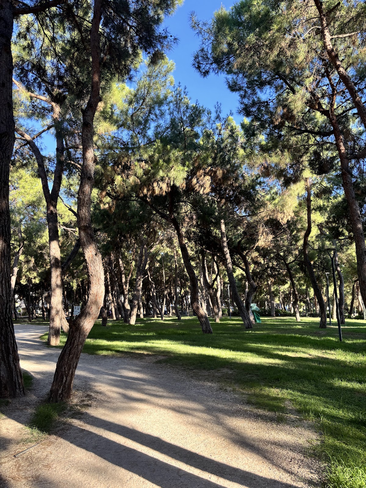 HayatPark photo 2