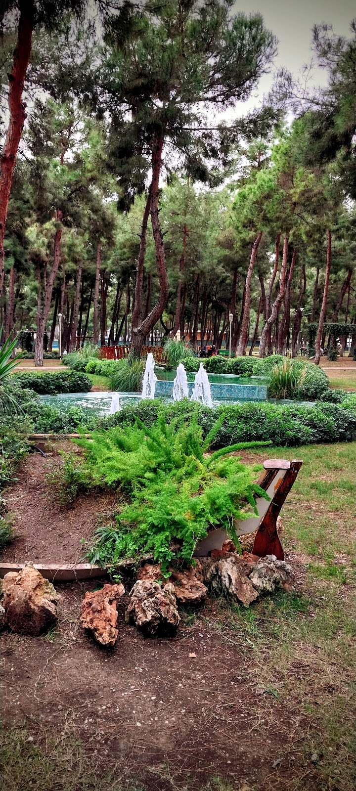 HayatPark photo 11
