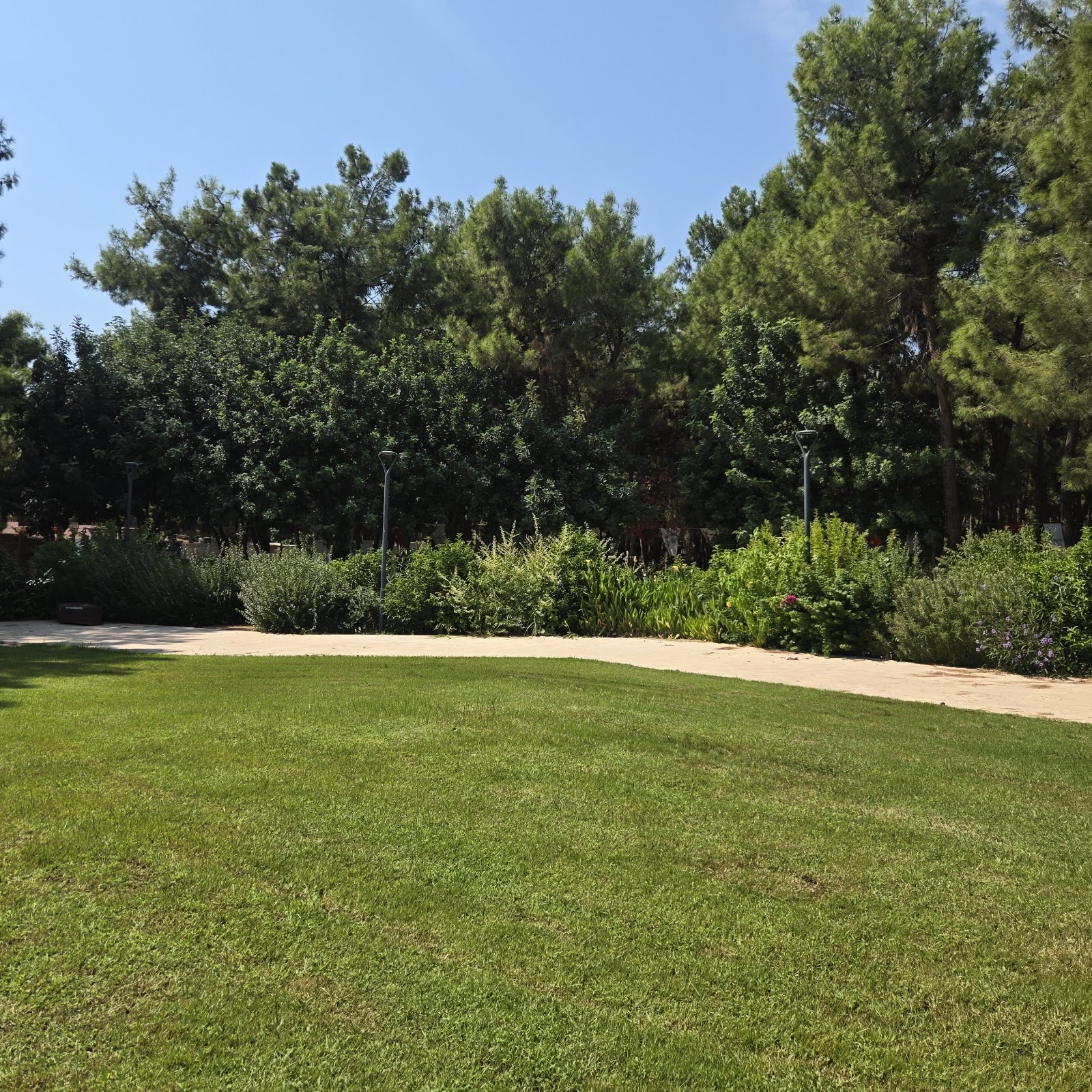 HayatPark photo 3