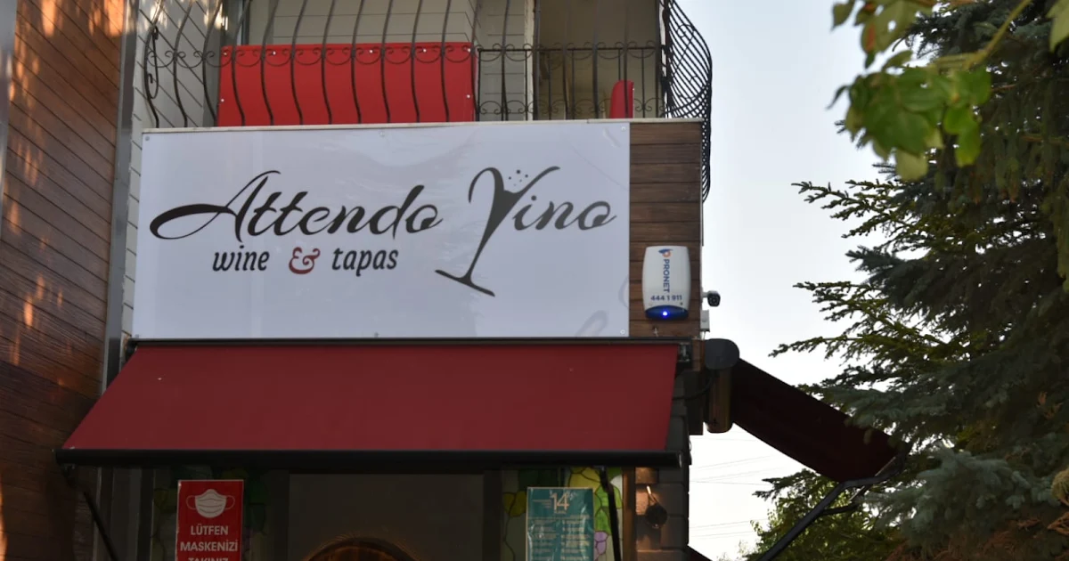 Attendo Vino İncek photo 1