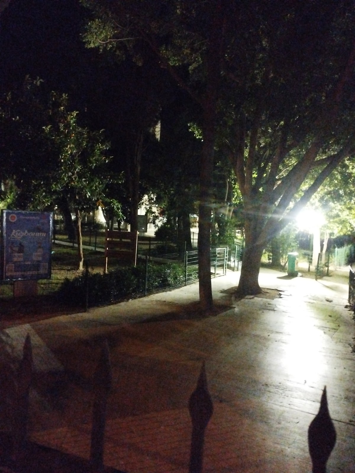 Murat Pasha Mosque photo 3