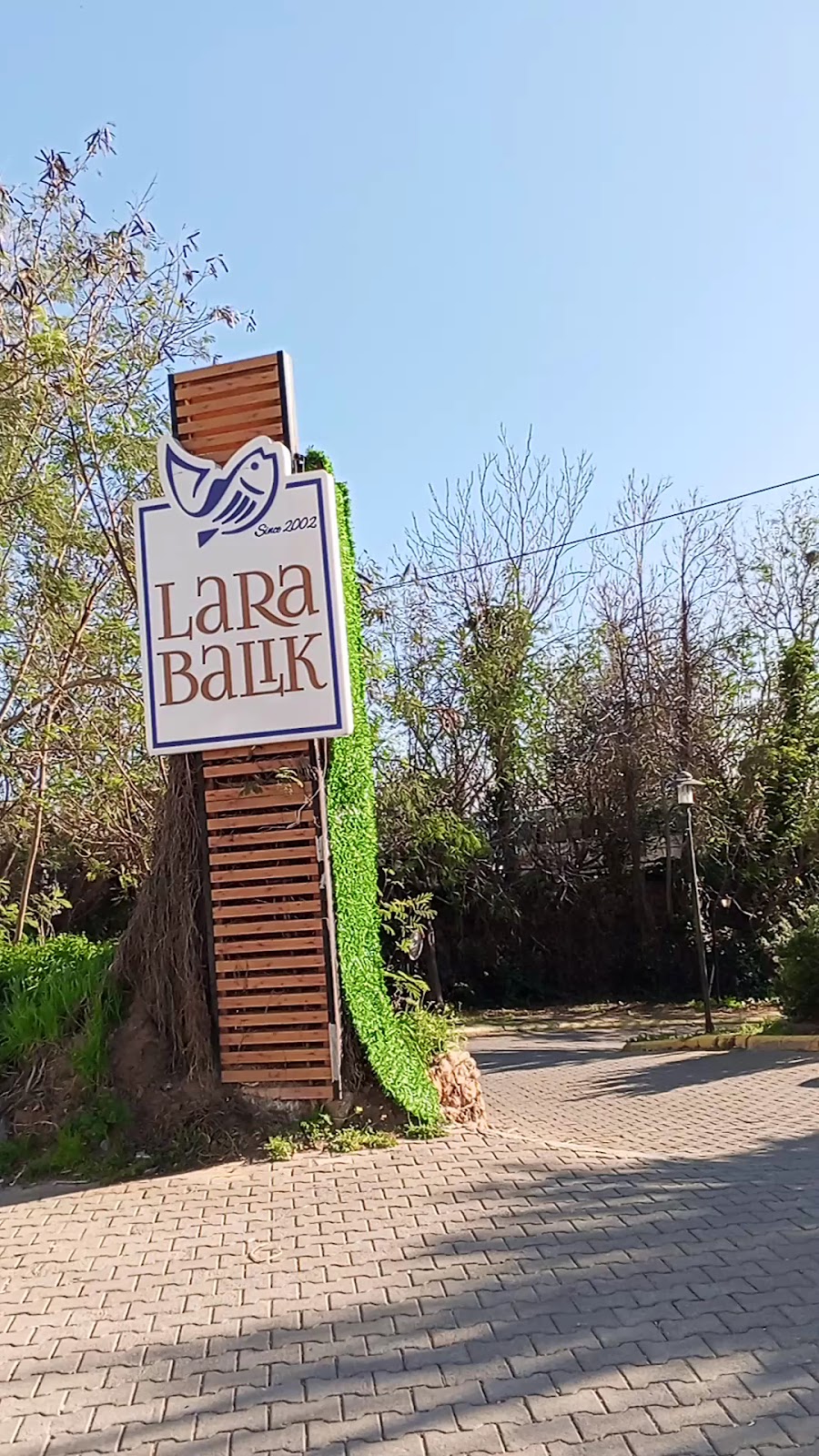 Lara Balık photo 2