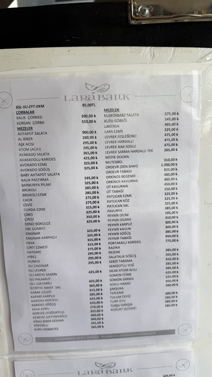 Lara Balık photo 3