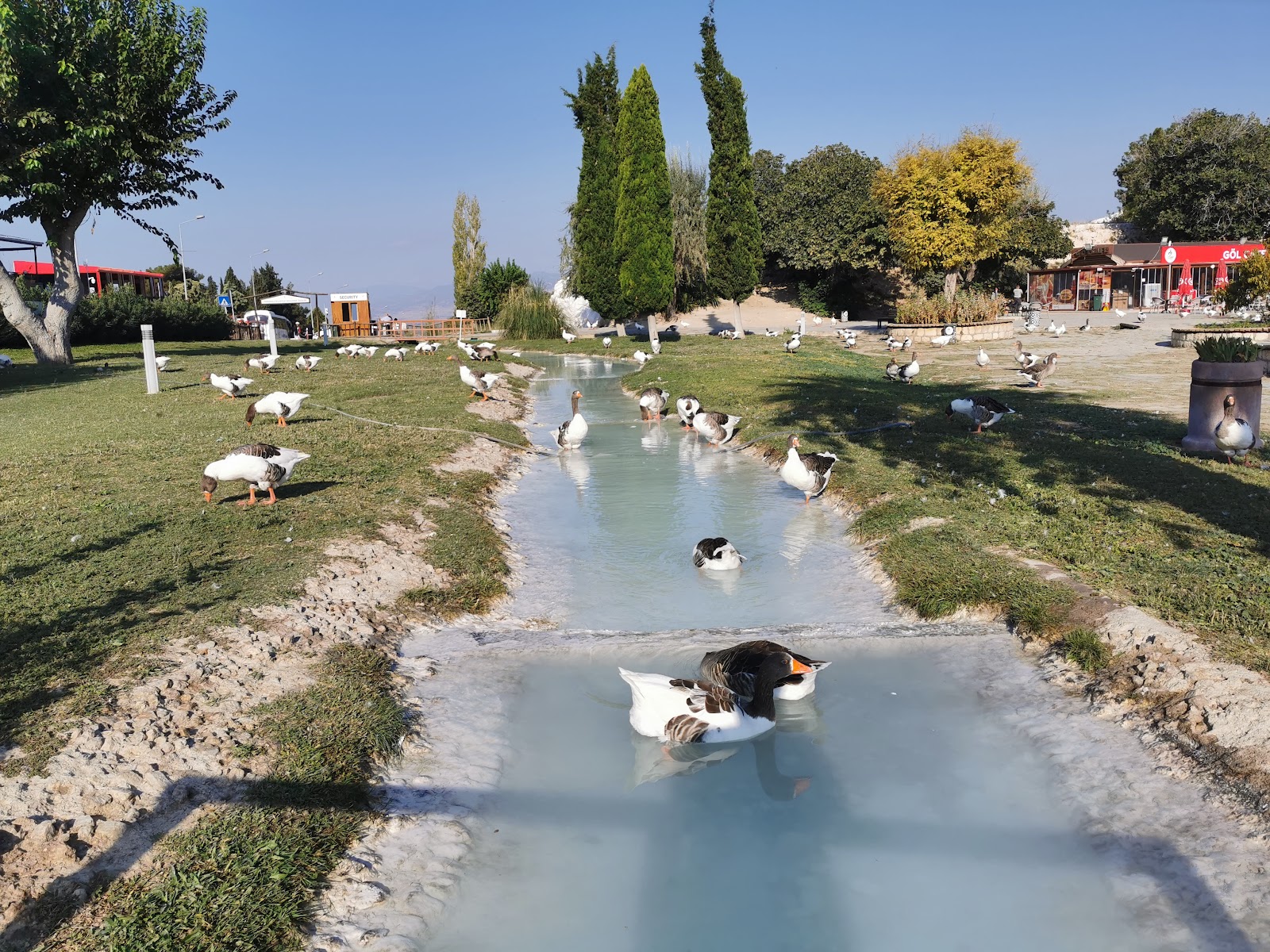 Prof. Dr. Erdal Inonu Kent Park photo 8