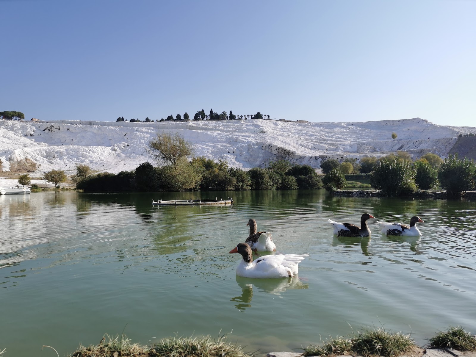 Prof. Dr. Erdal Inonu Kent Park photo 9