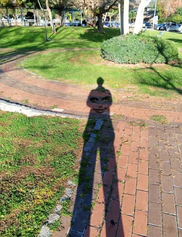 Prof. Dr. Erdal Inonu Kent Park photo 2