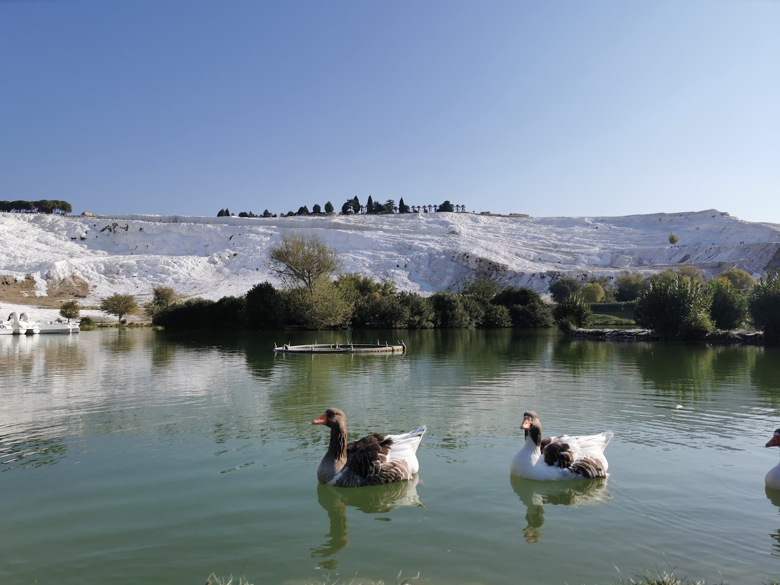 Prof. Dr. Erdal Inonu Kent Park photo 10