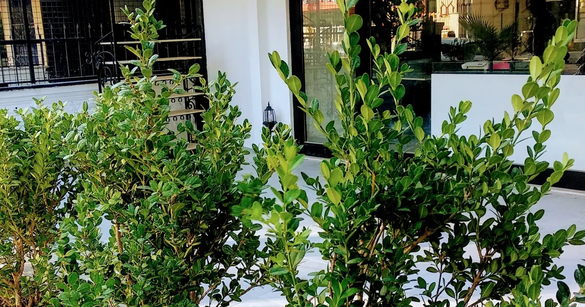 Ekşi Co. photo 1