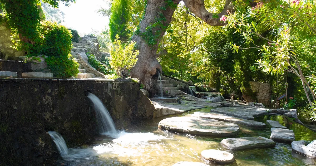 YakaPark photo 1