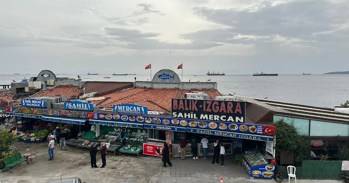 Sahil Mercan Balikcilik photo 1