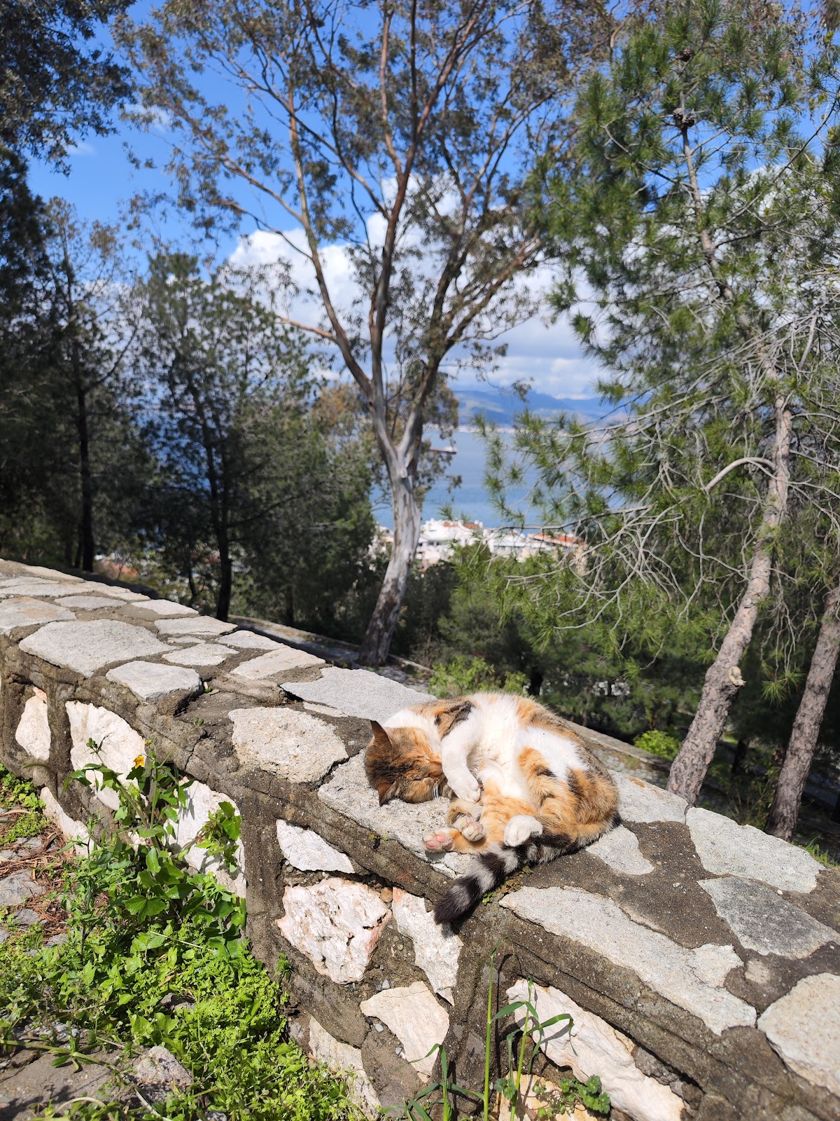 İzmir Büyükşehir Belediyesi Susuzdede Parkı photo 9