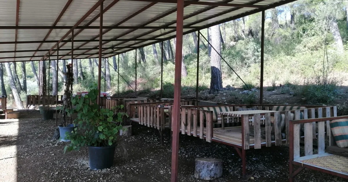 Habibe Teyze Çağlayan (Kahvaltı-Restaurant-Mangal-Piknik) photo 1