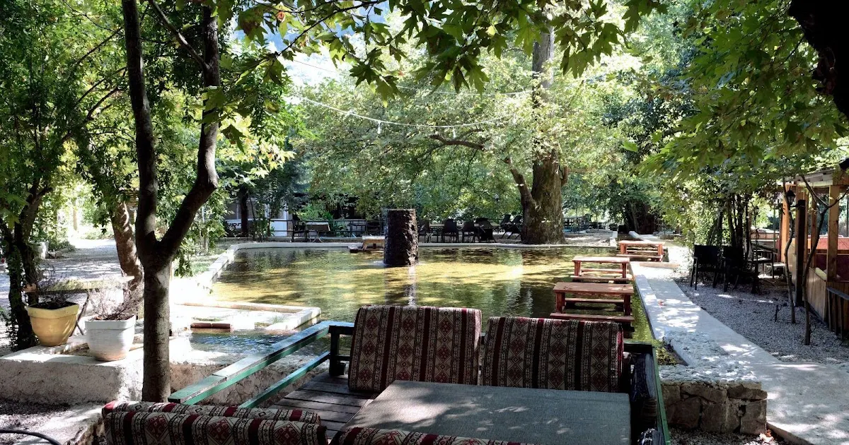 Selale Restaurant photo 1