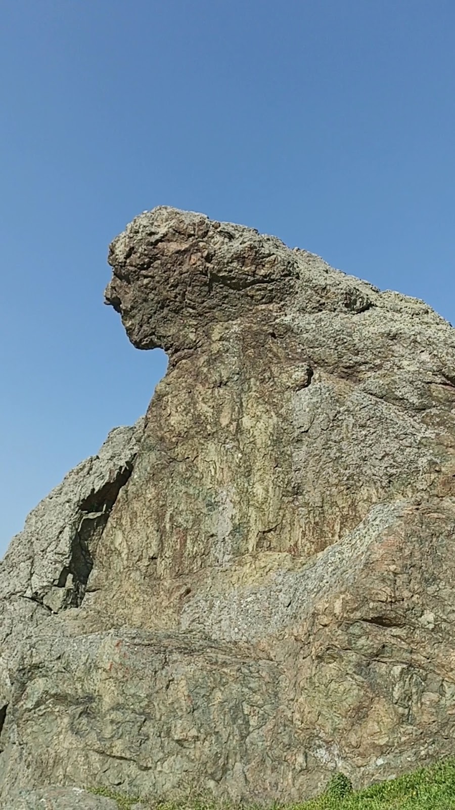 Niobe Weeping Rock photo 4
