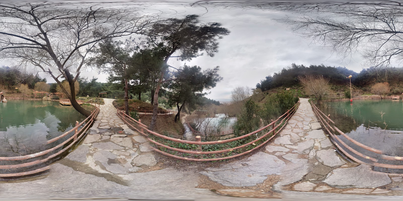 Mesir Tabiat Parkı photo 5