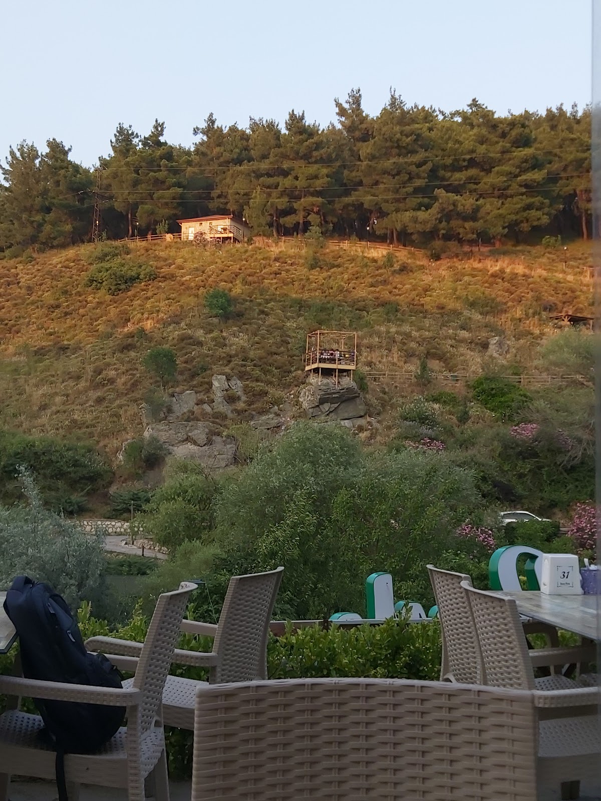 Mesir Tabiat Parkı photo 6