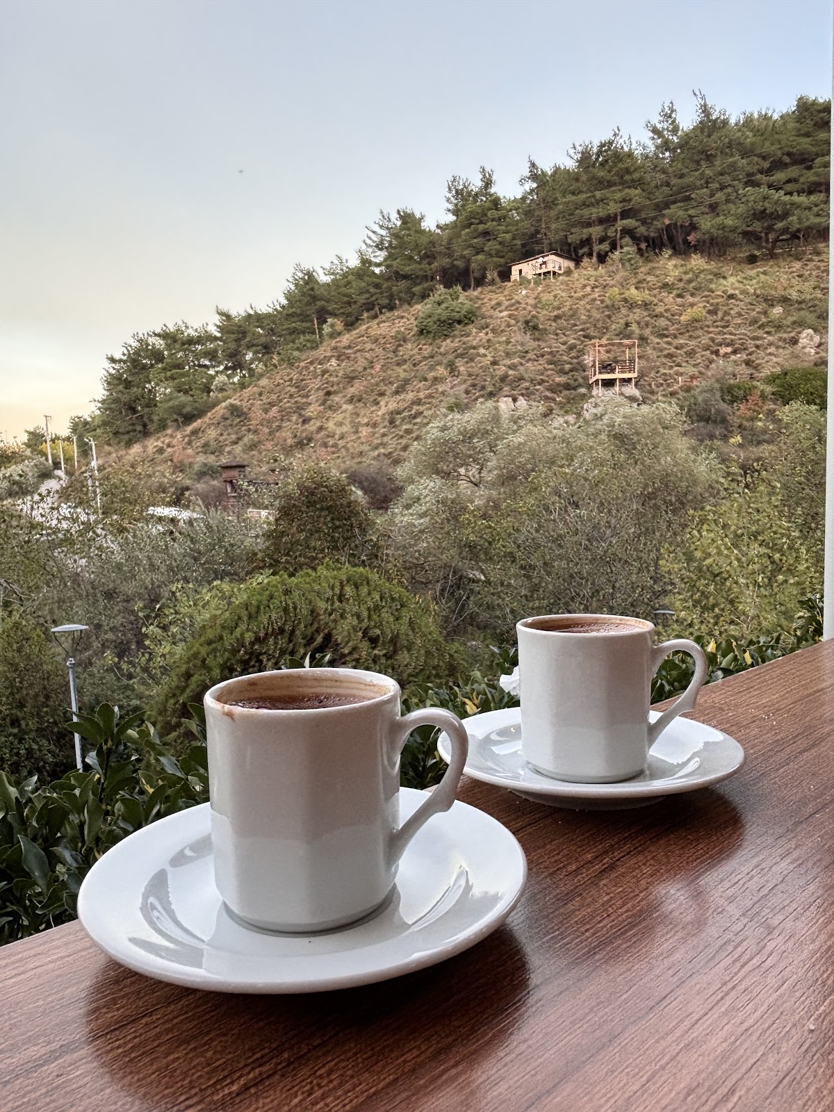 Mesir Tabiat Parkı photo 3