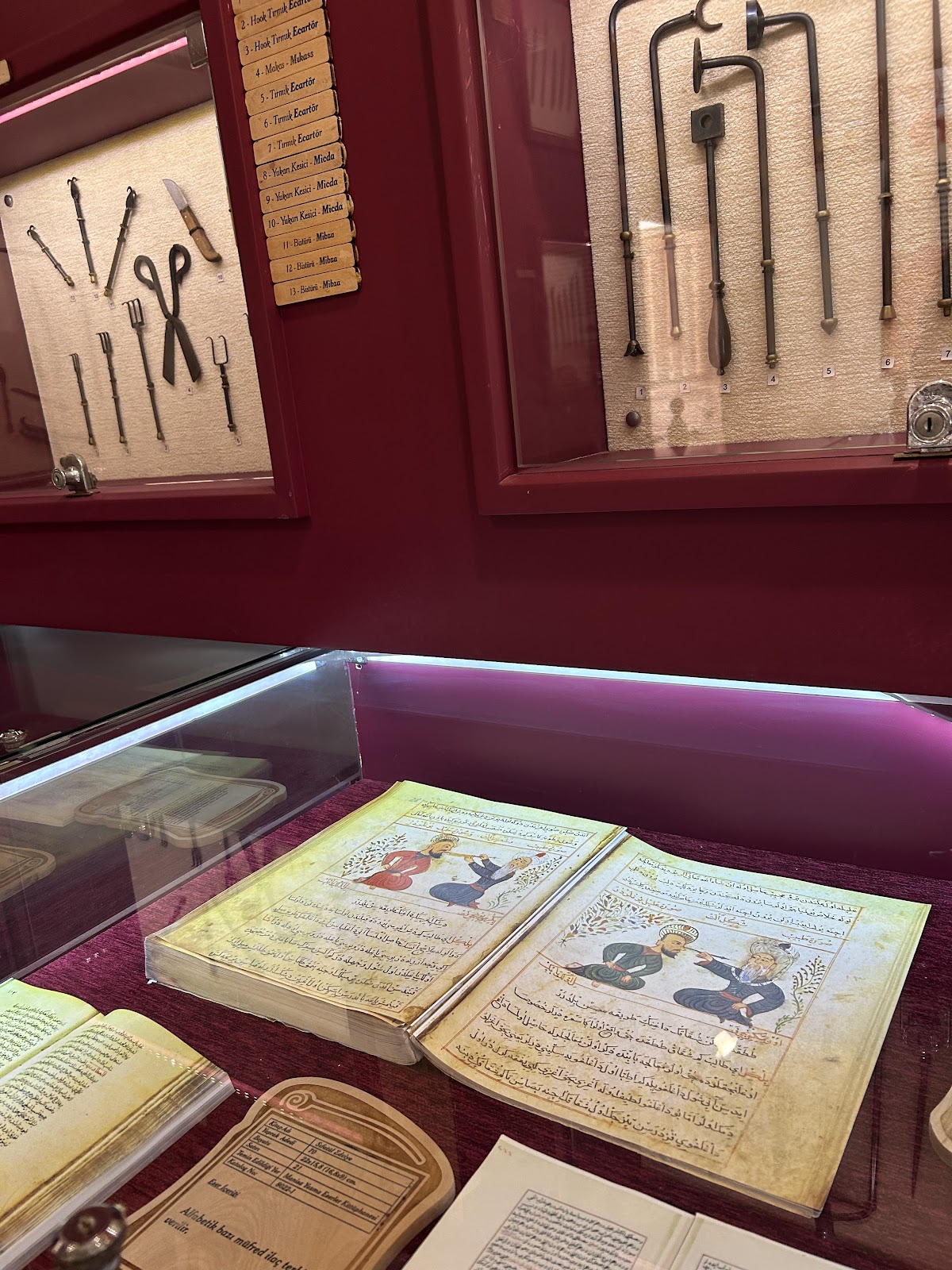 Manisa Celal Bayar Üniversitesi Ayşe Hafsa Sultan Medical History Museum photo 2