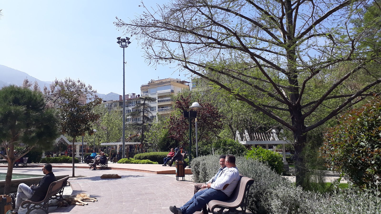 Ulupark photo 6