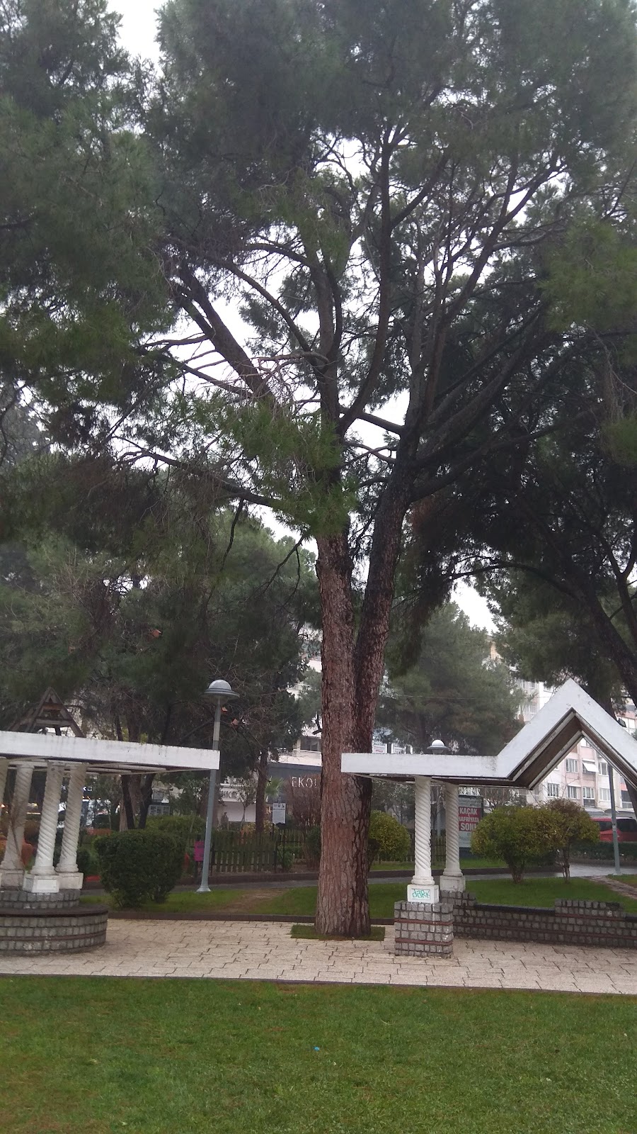 Ulupark photo 9
