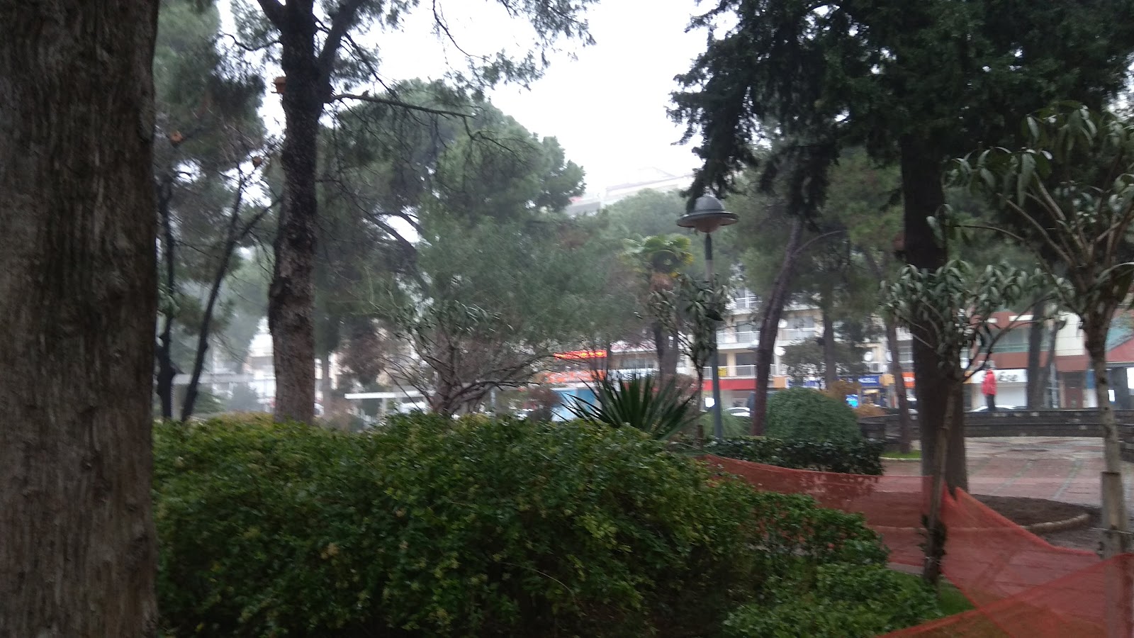 Ulupark photo 10