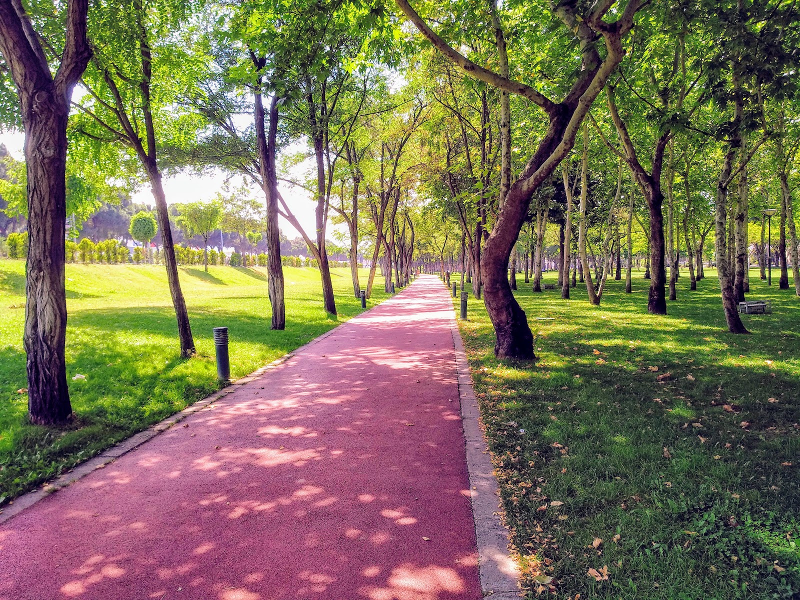 Pensioners Park photo 10