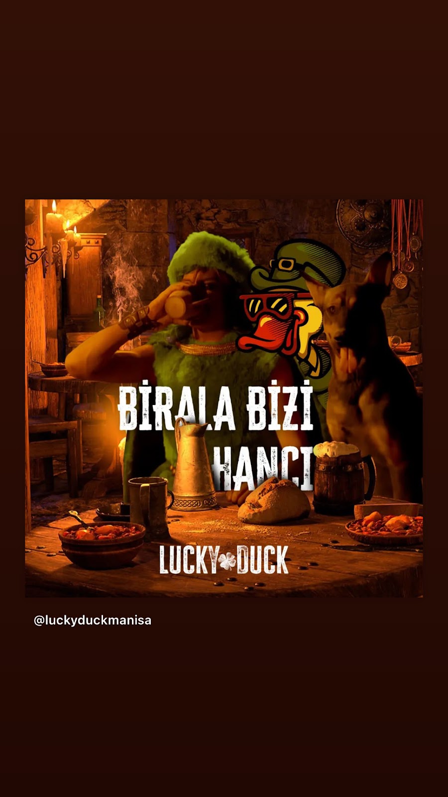 Lucky Duck photo 10