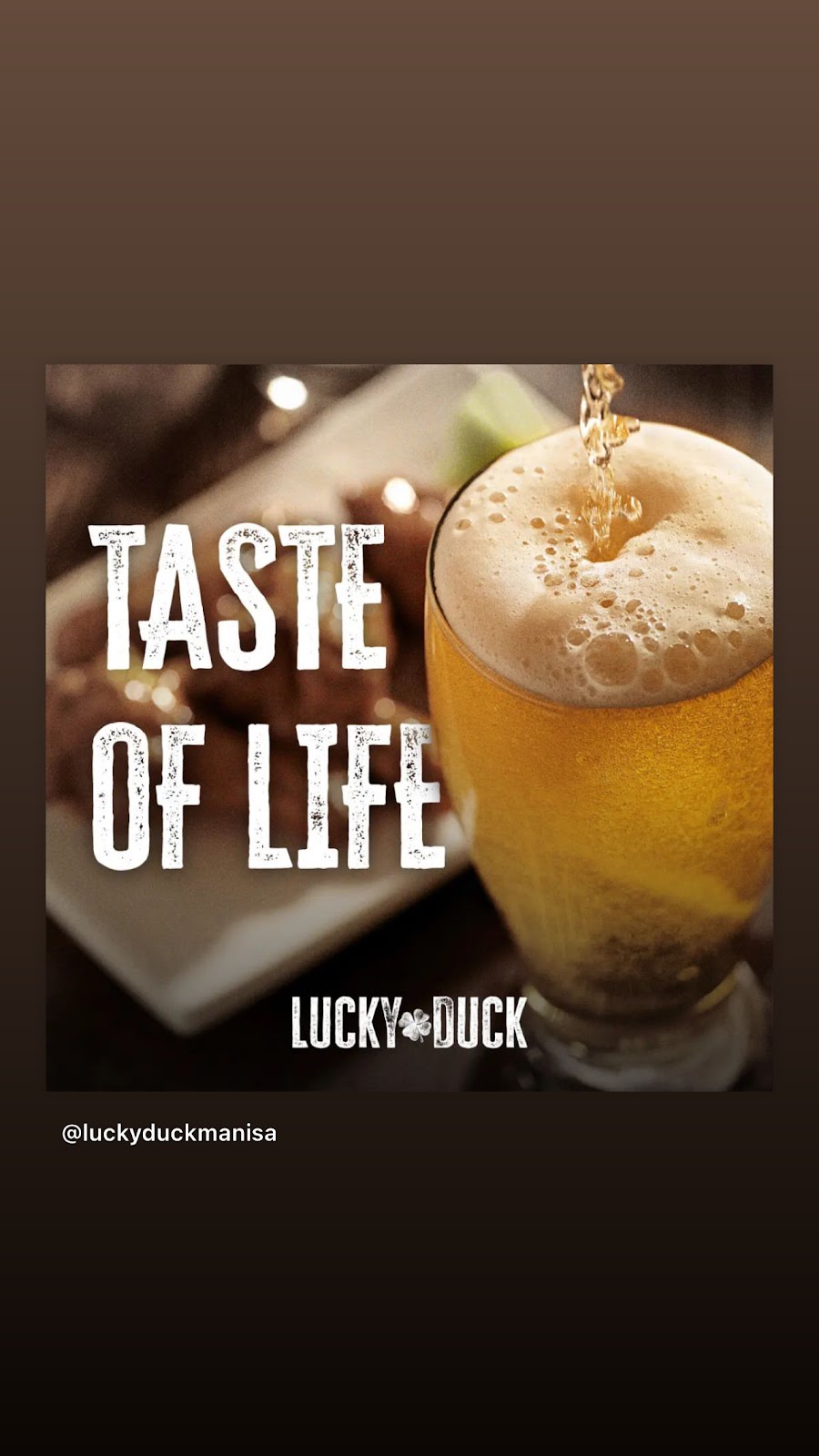 Lucky Duck photo 8