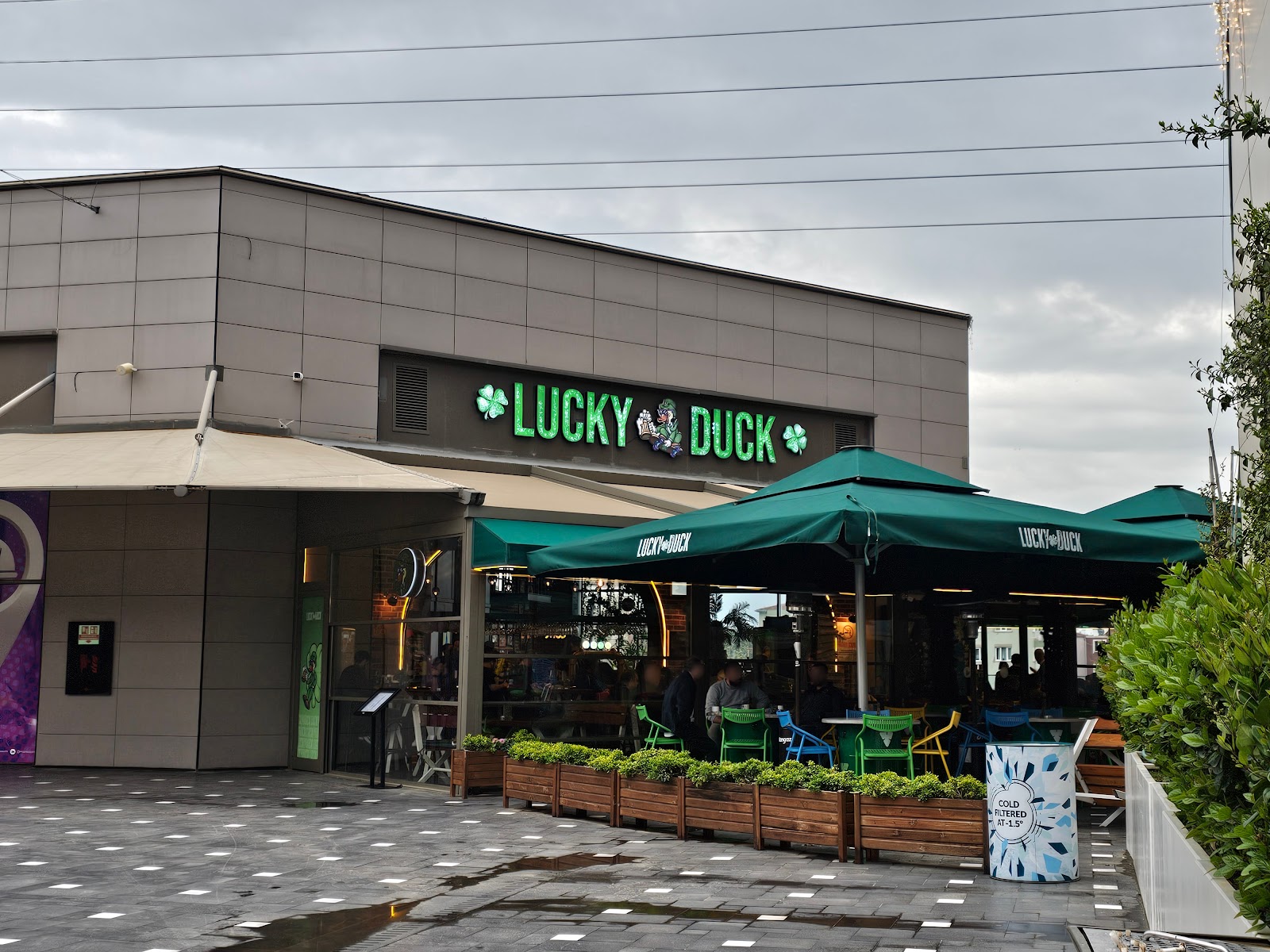 Lucky Duck photo 1