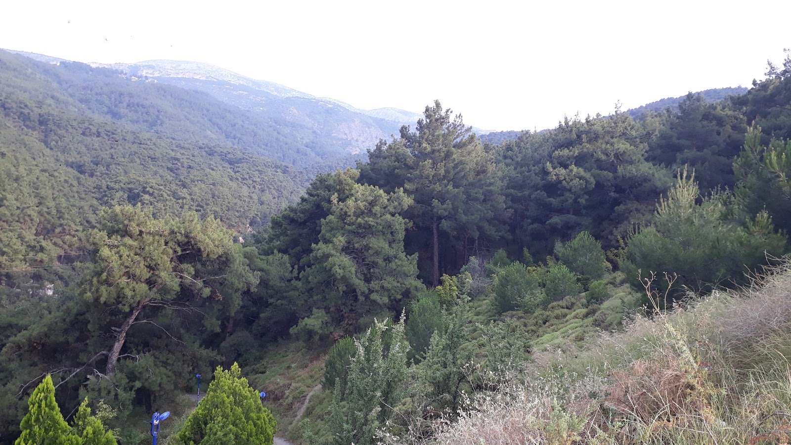 YUNUSEMRE BELEDİYESİ KÜLTÜR PARK photo 5