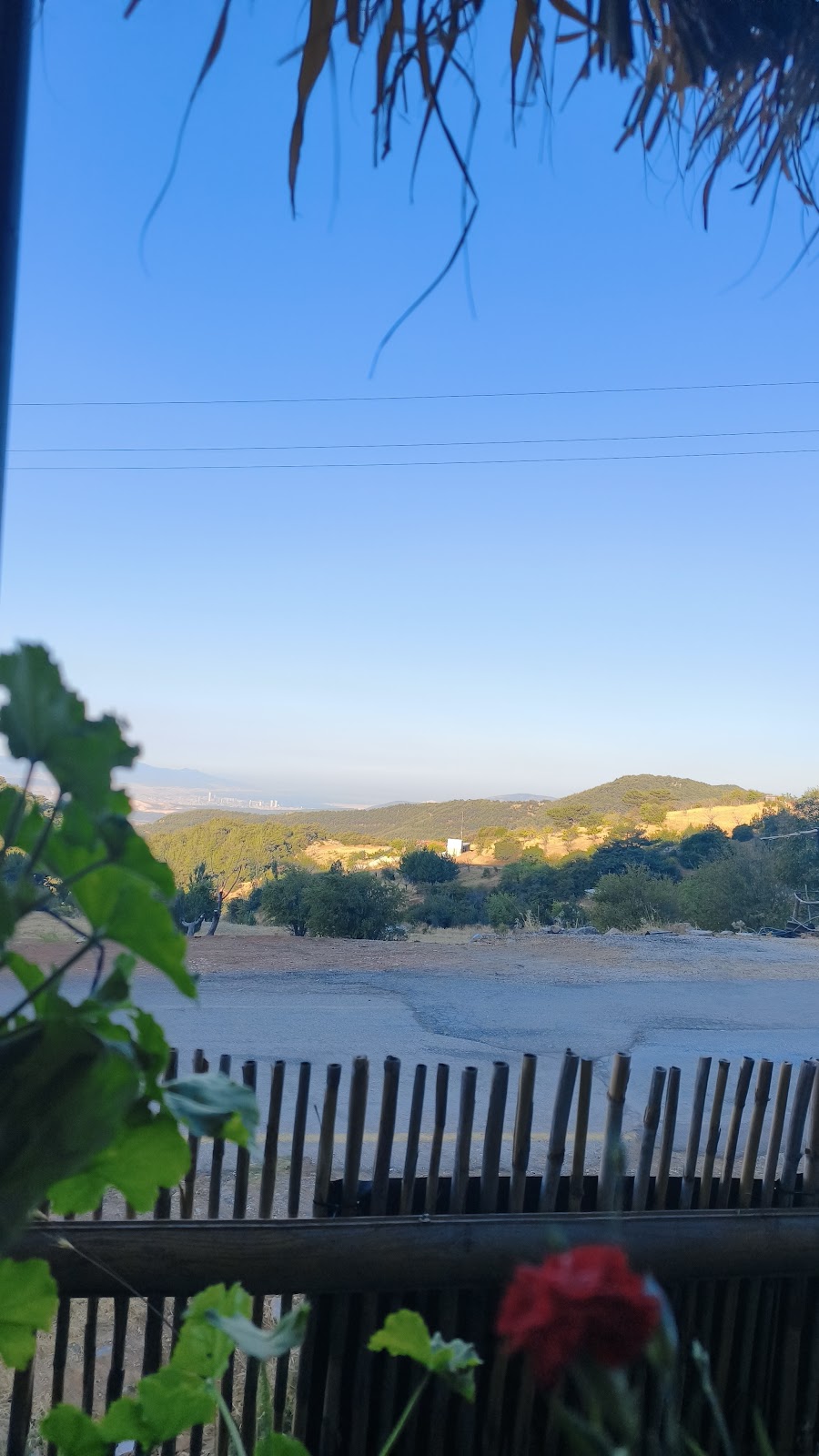 Sureyya Nature Park photo 4
