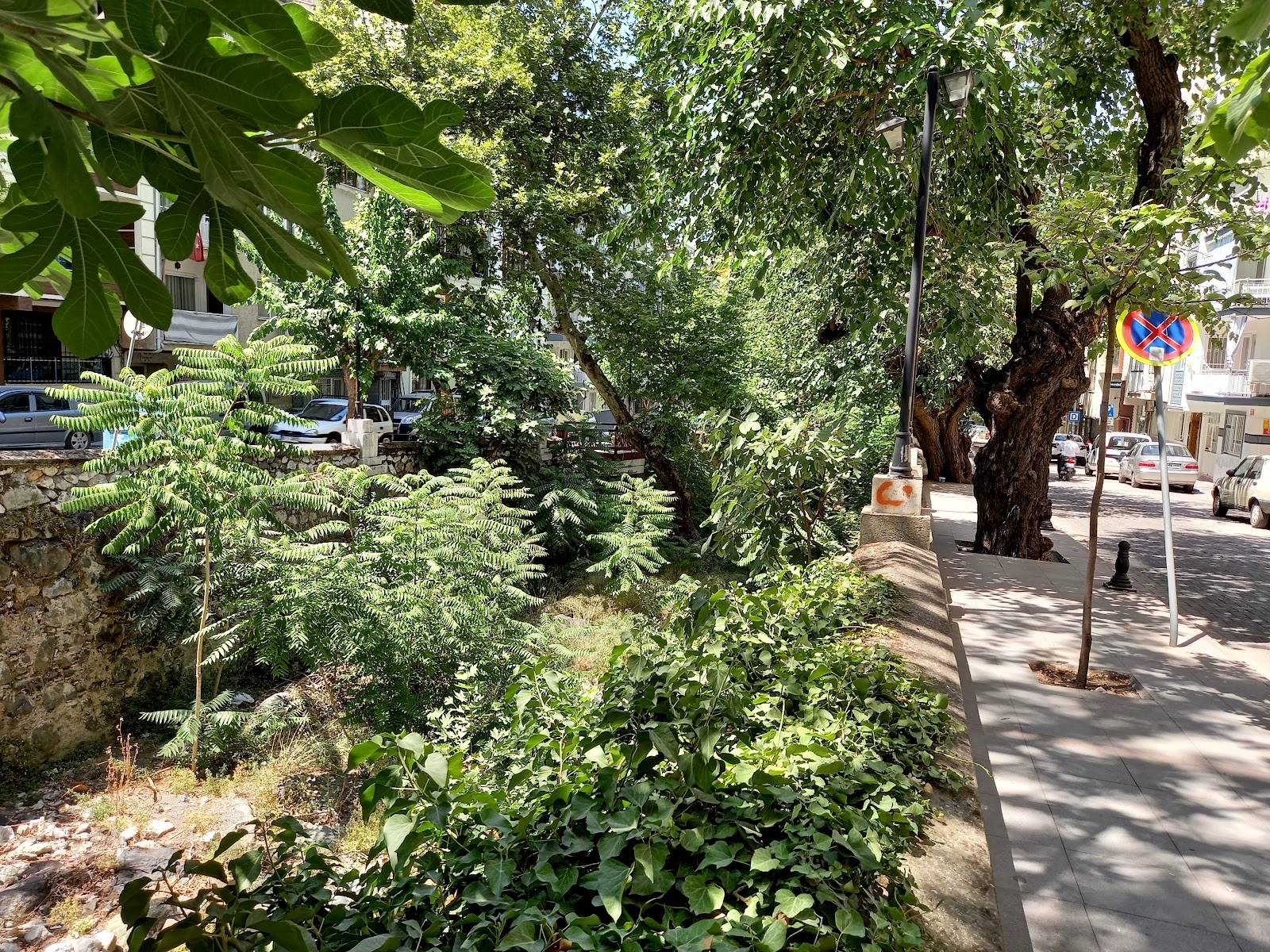 Kırmızı Köprü photo 5