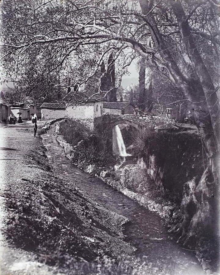 Kırmızı Köprü photo 2