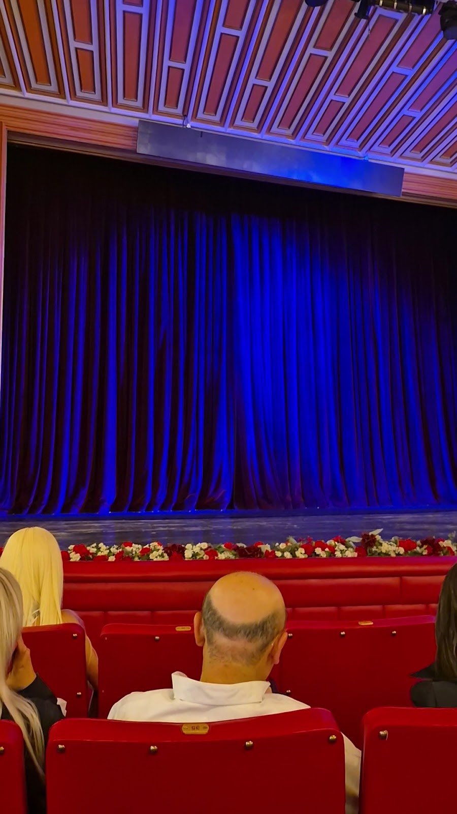 Büyük Tiyatro / Opera photo 4