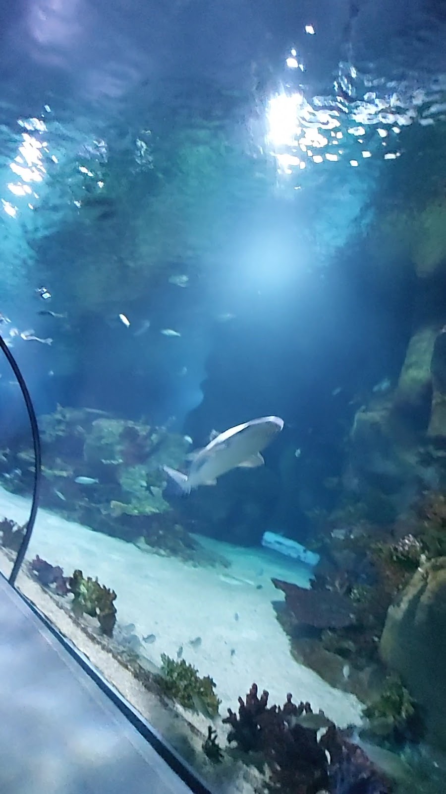 Funtastic Aquariums İzmir photo 4