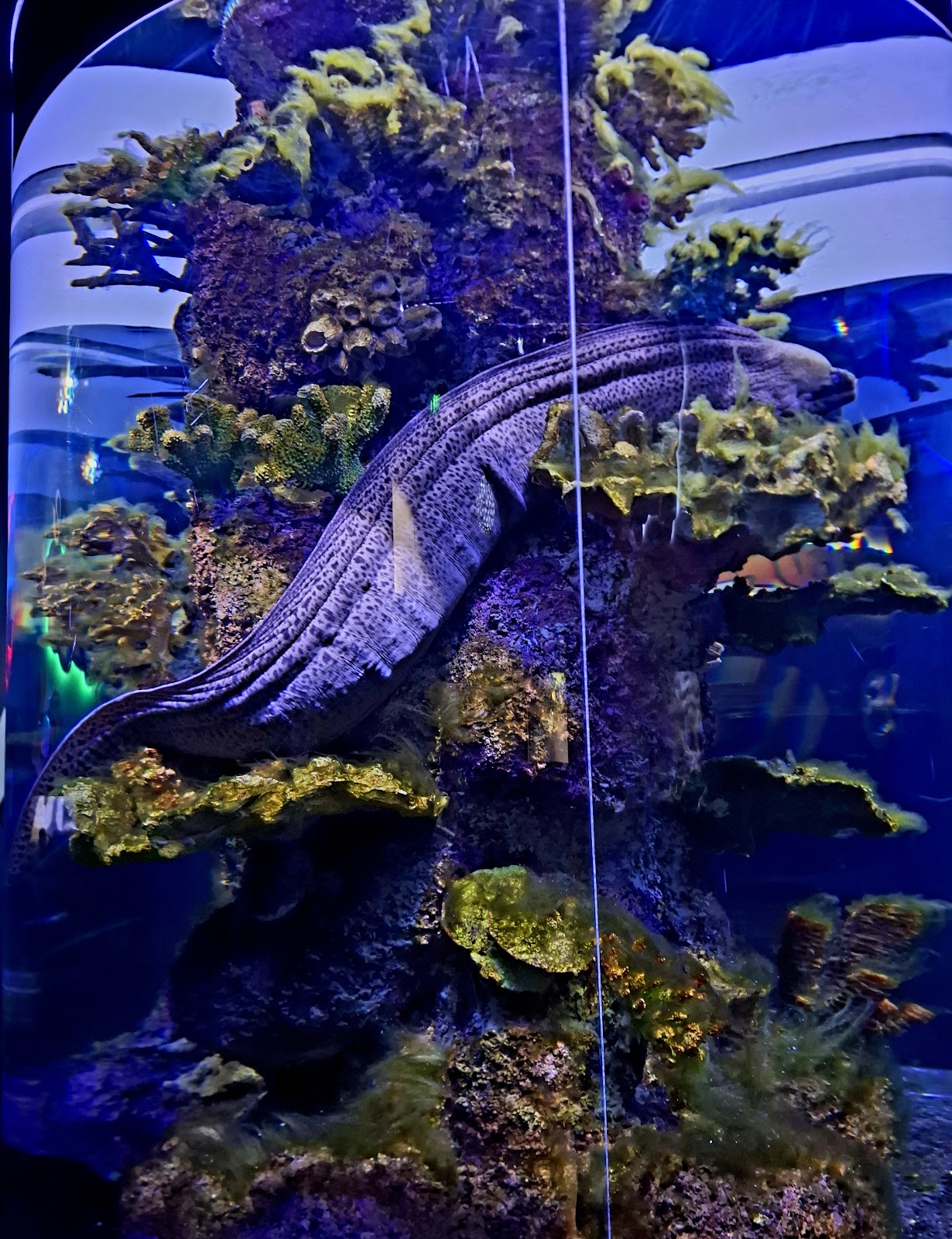 Funtastic Aquariums İzmir photo 11