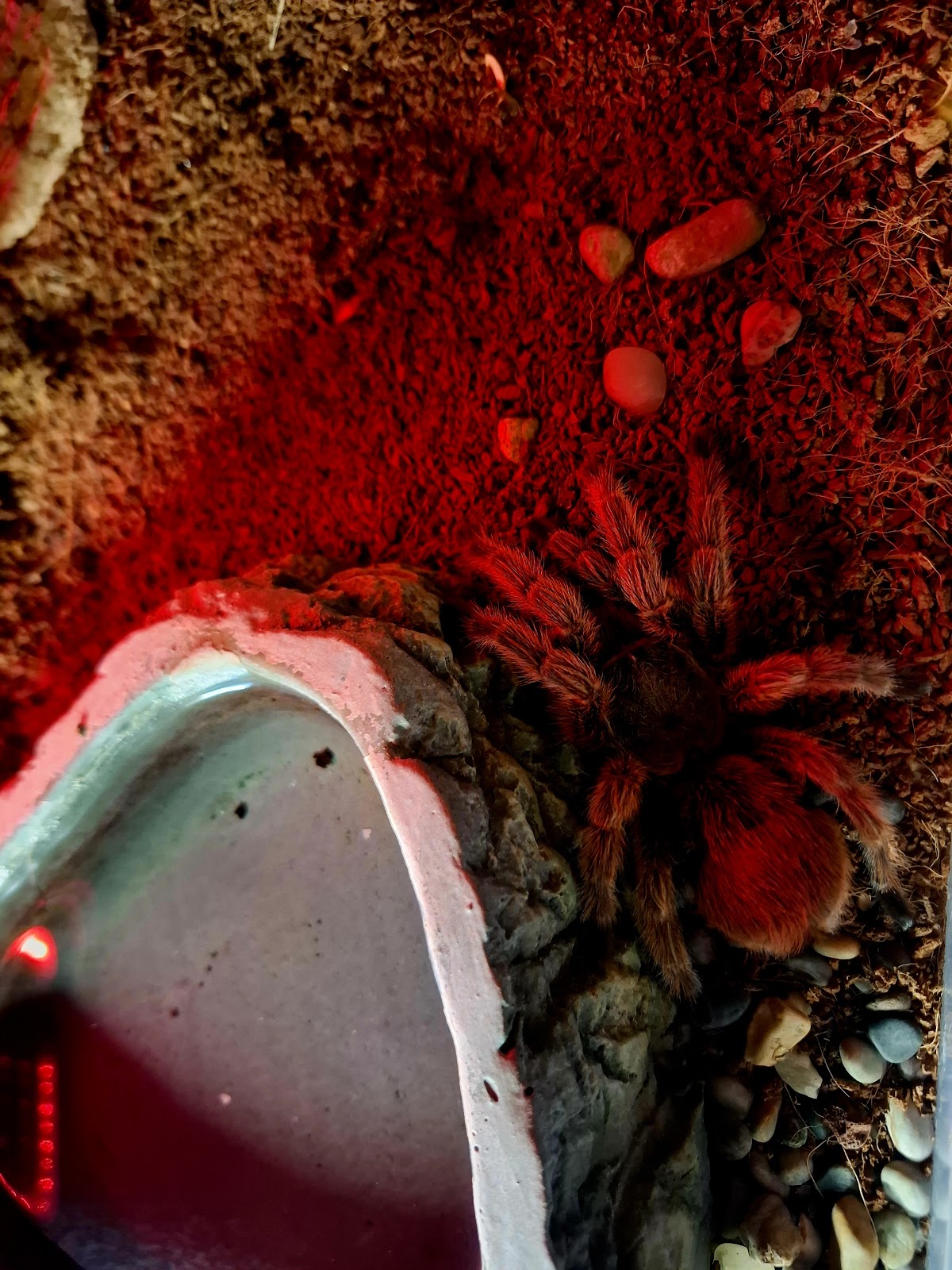 Funtastic Aquariums İzmir photo 7